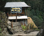 nepal - holesale.jpg